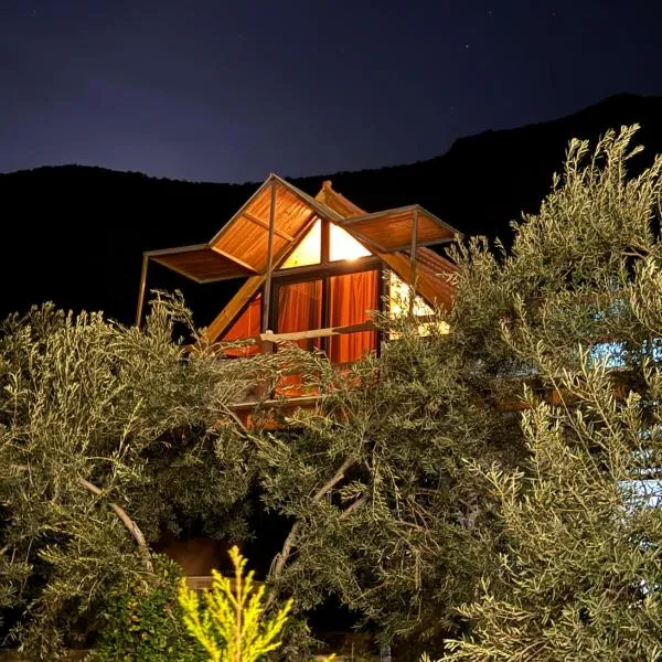 Dana luxury huts, hotel em Dana