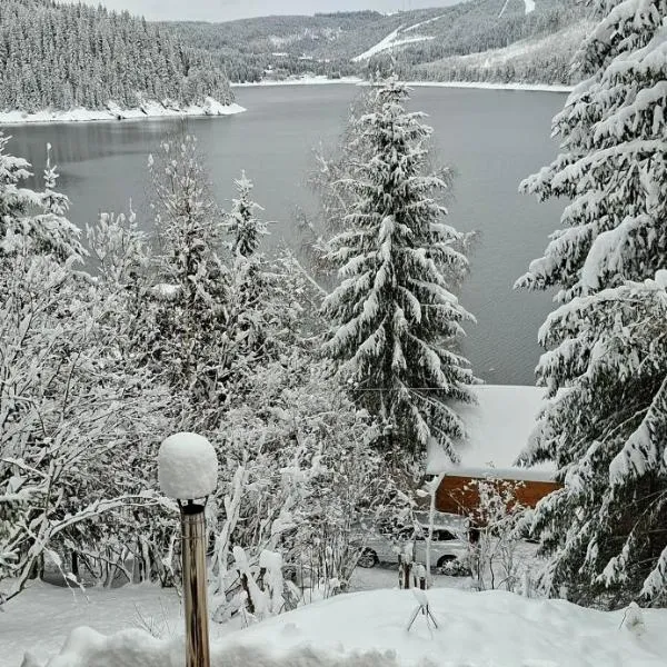 Vila Nature and Luxury, hotel en Beliş