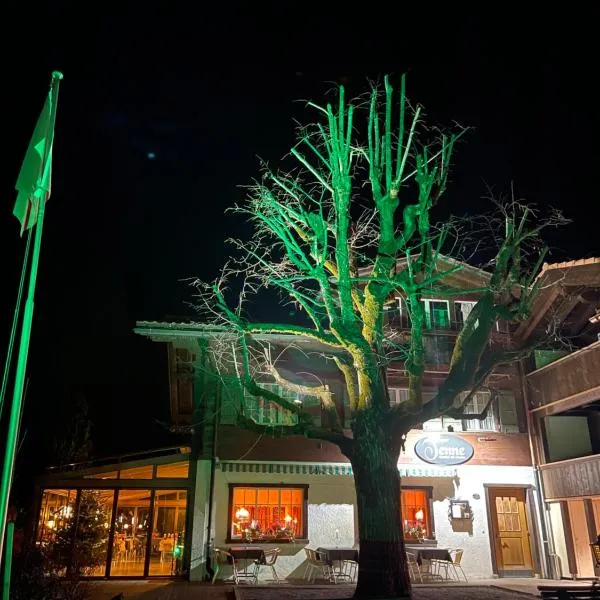 Tenne Lenk - Gasthof & Hotel, hotel en Lenk im Simmental