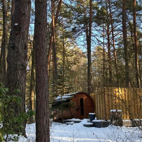 Konwaliowe Zacisze - chillout w leśnej aurze, hotel en Wilga