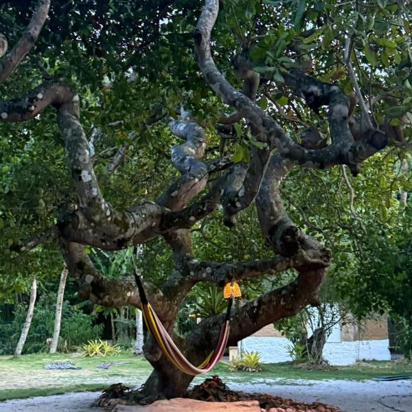 Pouso do Cajueiro - Moreré - Foto 2