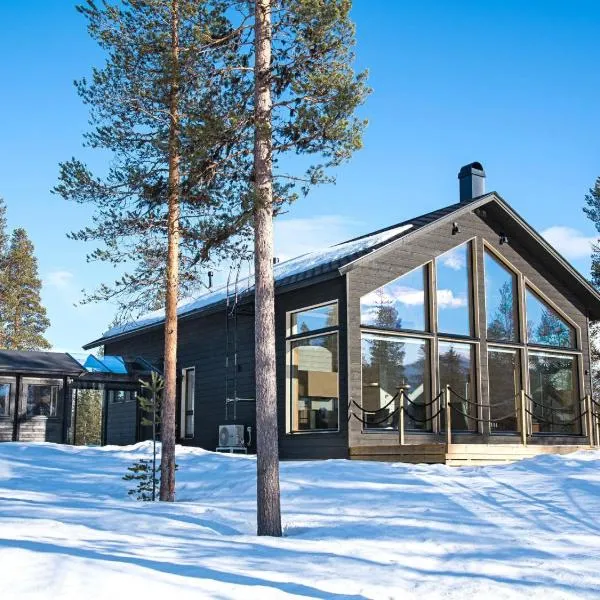 Holiday Home Villa gaissa by Interhome，Raattama的飯店