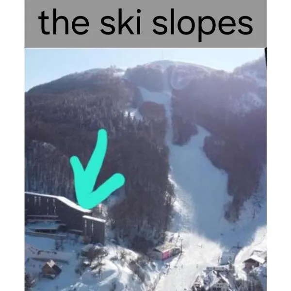 Mavrovo Centar Ski Staza, hotel Mavrovóban