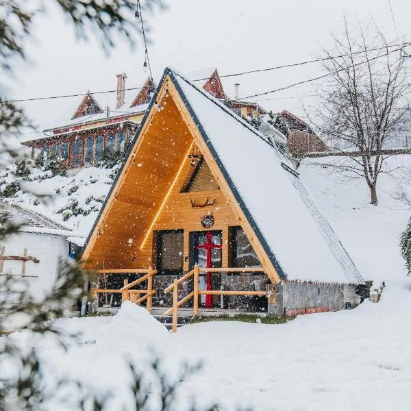 Pensiunea Casa Iulia A-Frame, hotel em Martinie