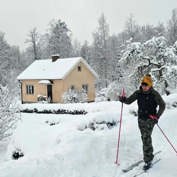 Little Cabin, hotel en Gnosjö