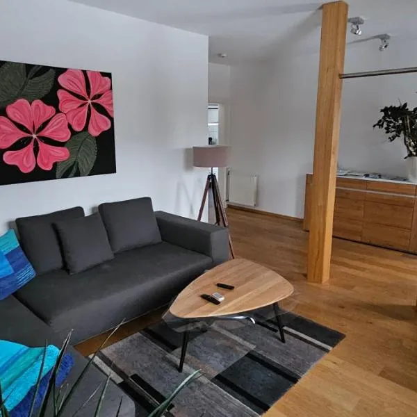 Luxuriöse Ferienwohnung im Herzen des Sauerlandes – hotel w mieście Meschede