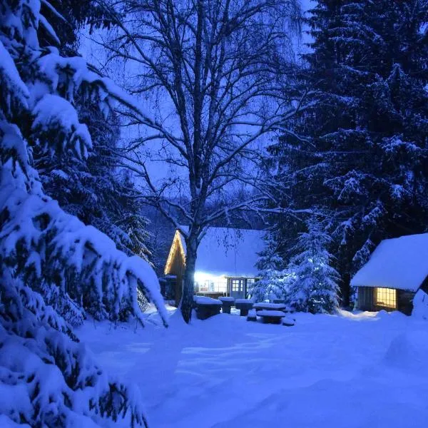 Casuta dintre brazi, hotel in Râșca