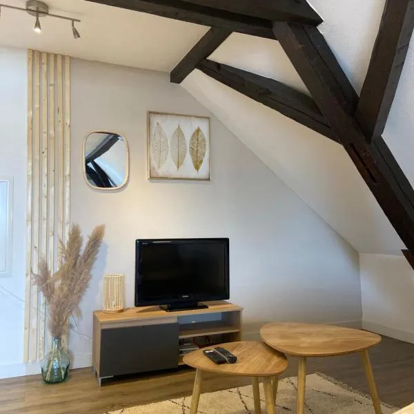 Bel appartement 2 pièces – hotel w mieście Soufflenheim