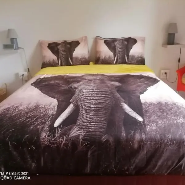 Victoria Falls African Guest House – hotel w mieście Victoria Falls