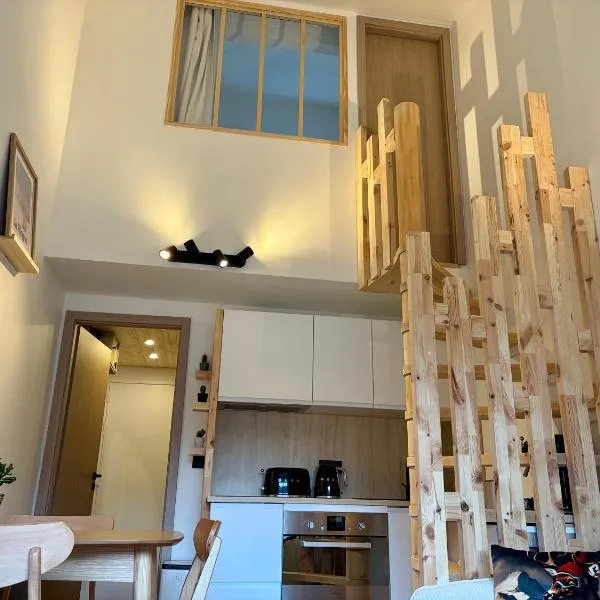 Charmant duplex Proche station, hotel i Aime La Plagne