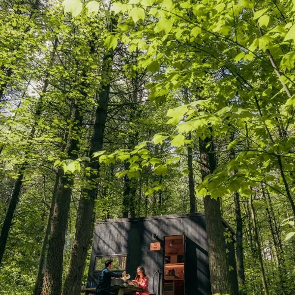 Postcard Cabins Kettle River, Outdoor Collection by Marriott Bonvoy, hotel v destinácii Willow River
