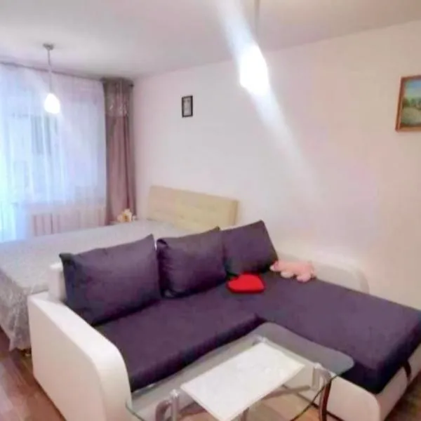 Butas Putinuose, hotel a Alytus