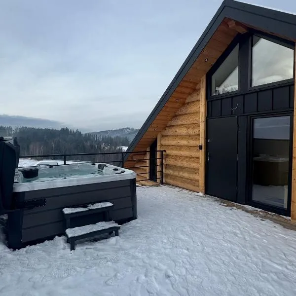 Apartament Świerkowa Osada, готель у місті Істебна