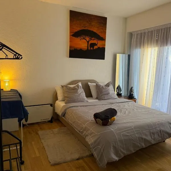 chambre chez habitant pied du lac, hotel di Geneva