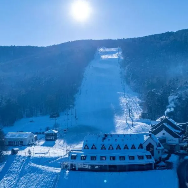 Hotel Arena Maribor, hotel em Maribor