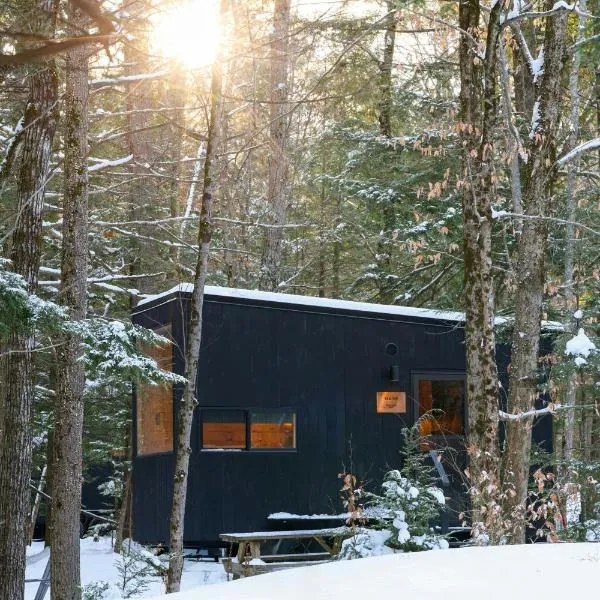 Postcard Cabins Hocking Hills, Outdoor Collection by Marriott Bonvoy, hotel em Nelsonville