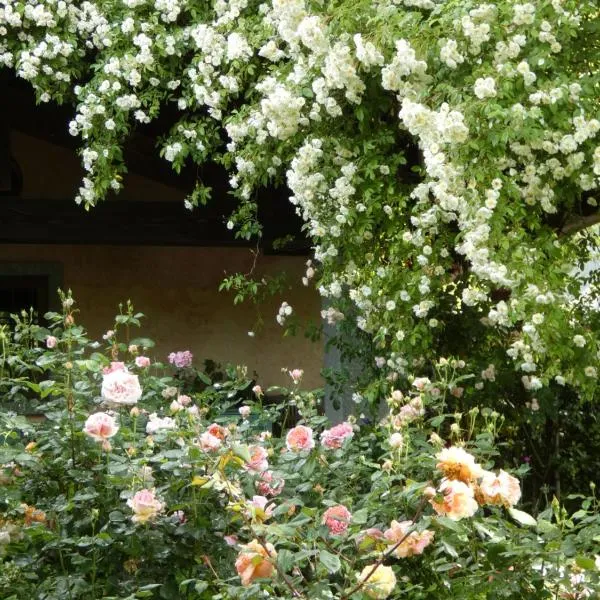 Rosedeliziose B&B Baldissero Canavese, hotel u gradu 'Torre Canavese'