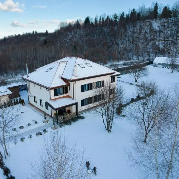 Pensiunea Negoiu, hotel em Porumbacu de Sus