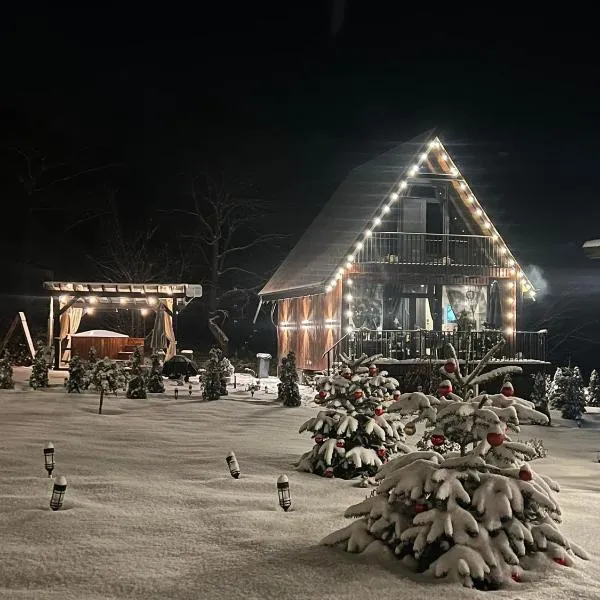 ACASĂ la Lisa, hotel i Lisa