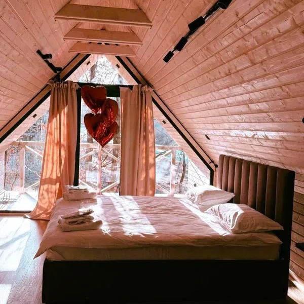 SVOI Chalet, hótel í Vyshka