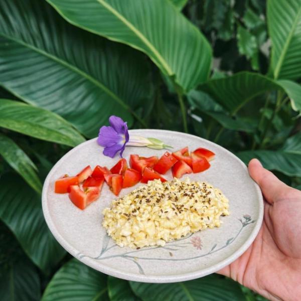 Casa Holy Ubatuba - Hospedagem Holística - Foto 4