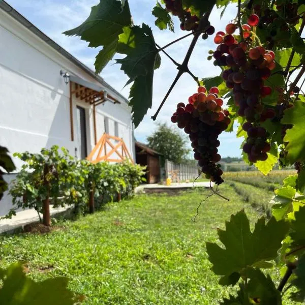 Lavender farm Zarić, hotel in Porosanica