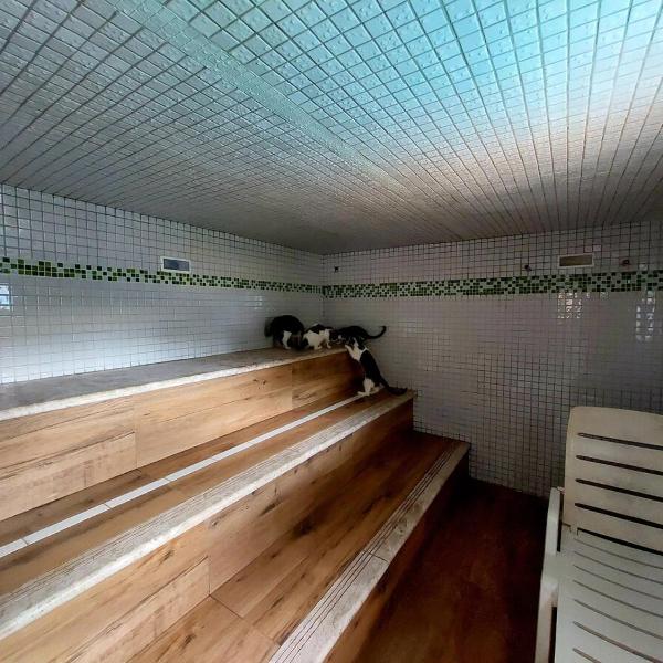 Casa Sérguius Mini Chácara - Foto 4