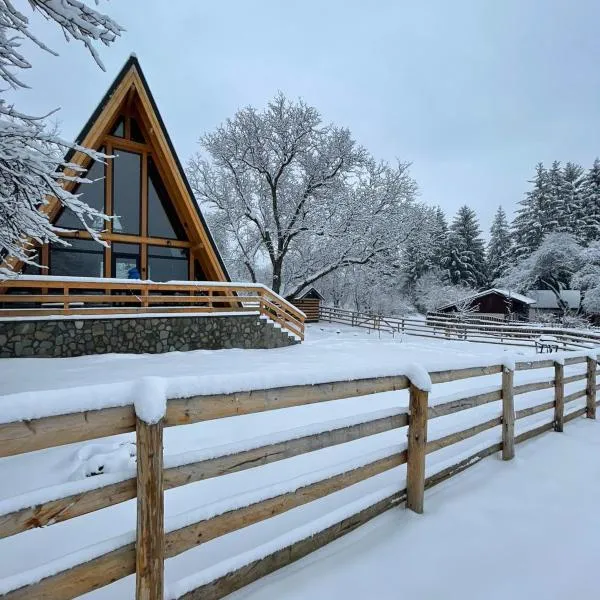 Old Nut Cabin, hotel em Teşila