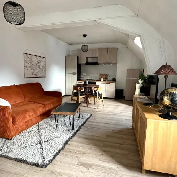 Appartement Centre ville Le blanc, hotel en Le Blanc