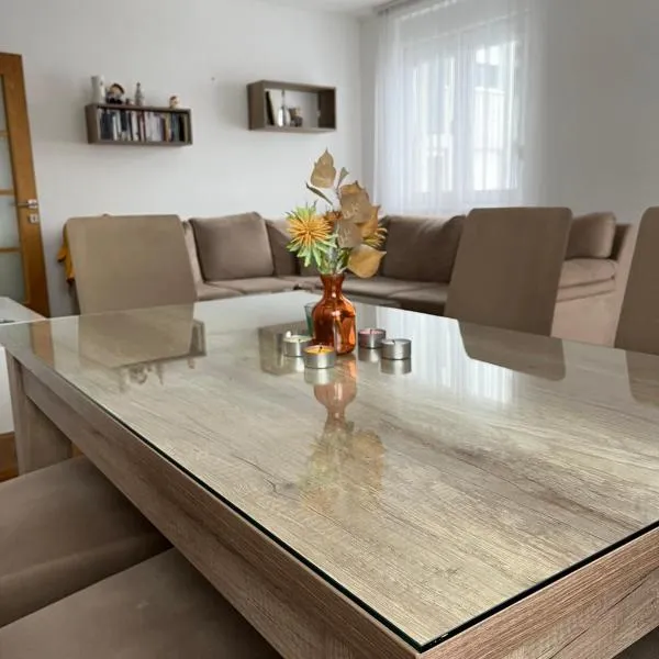 Apartman Burinović，Temerin的飯店