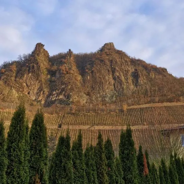 Historische Villa mit Drachenfels-Blick, отель в городе Бад-Хоннеф-ам-Райн
