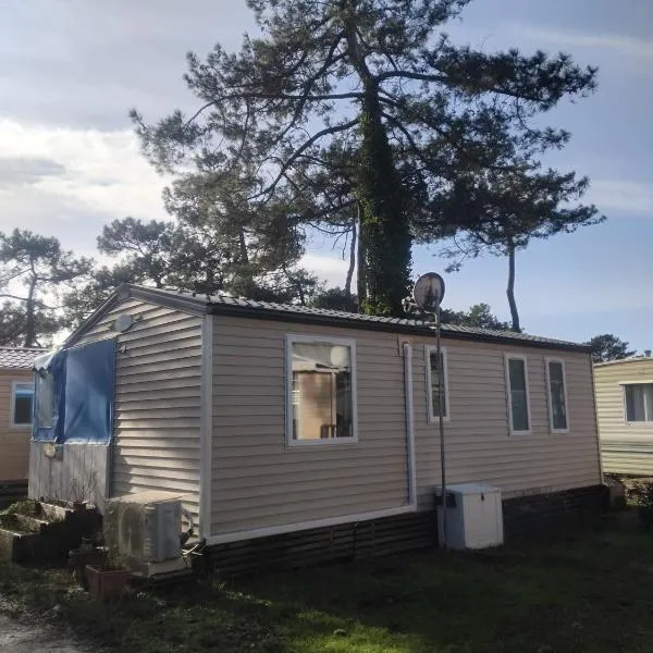 Le mobil home bleu ! Camping Naturiste، فندق في مونتالفيت لو بين