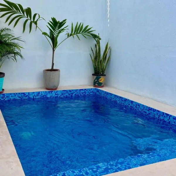 EXCELENTE ALBERCA PRIVADA EN RESIDENCIAL PRIVADO, GYM, asador, hotel em Ciudad Valles