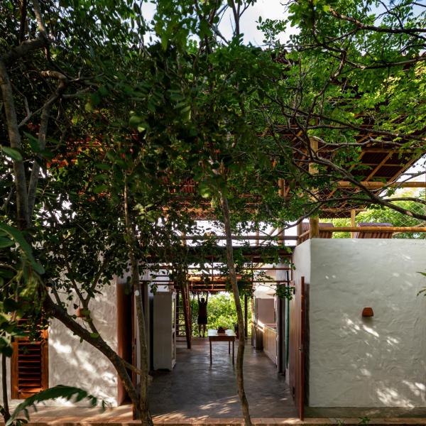 Casa Perobinha - Foto 5