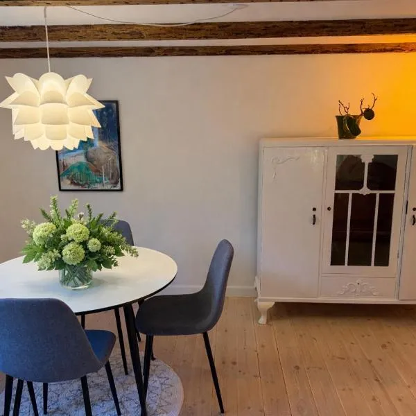 Villa Fuga kælderlejlighed、Jellingのホテル