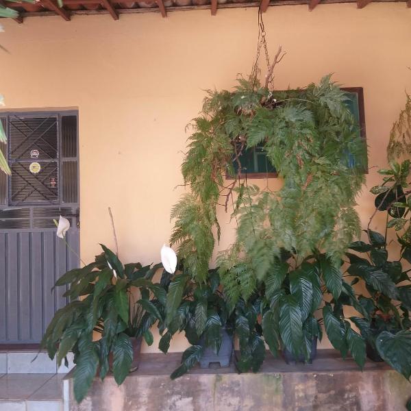 Kitnet para 4 pessoas - Foto 5