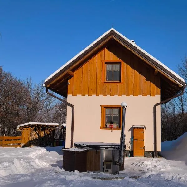 Dolná chata u Bratríkov, готель у місті Haligovce