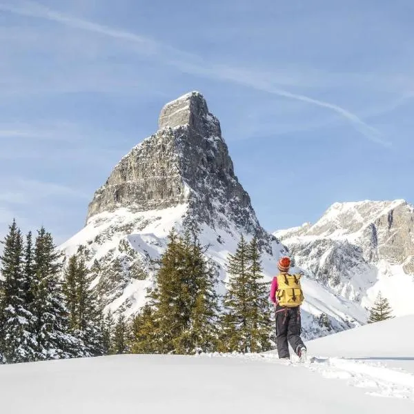Snowfun Unterkunft Bergheimat - Ganz einfach ganz unkompliziert ganz relaxd, hotel em Linthal