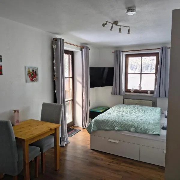 Apartment Blueberry Pool Sauna Netflix WIFI YoutubePremium, hotelli kohteessa Zwiesel