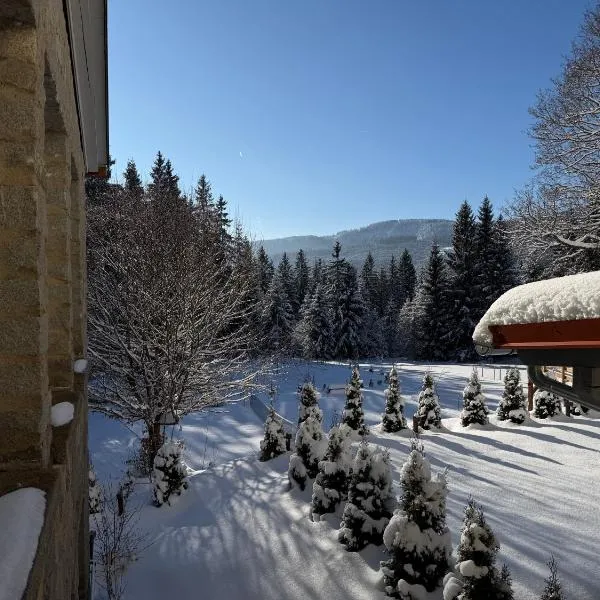 Maiers Hotel, hotel em Bayerisch Eisenstein