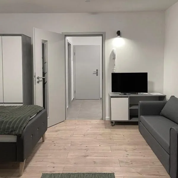 Board Inn - Haus Regensburg, hotel a Ratisbona