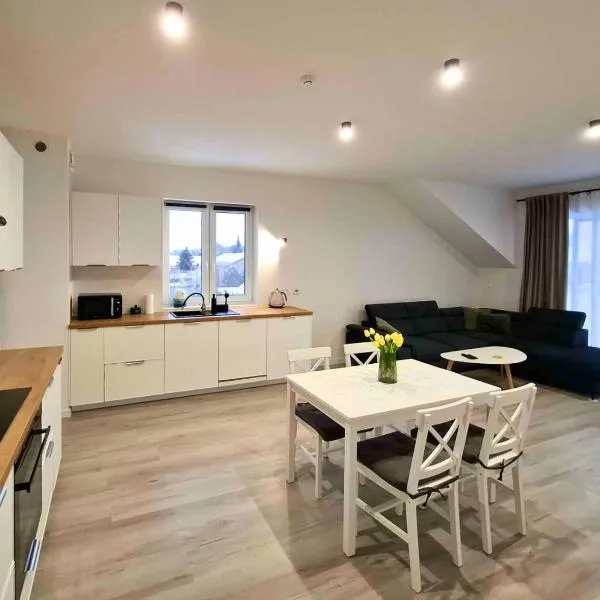Modern 2023 apartment, hotel em Kutno