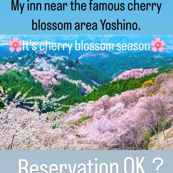 Inn Unkai no Sato no Yado 民宿 雲海の里の宿, hotel en Nosegawa