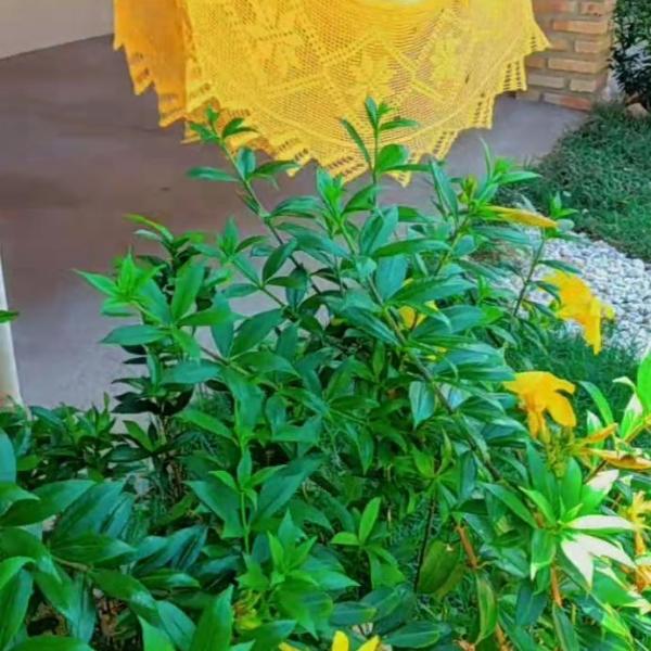 Pousada recanto do sol - Foto 3