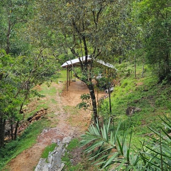 Sitio na praia - Foto 5