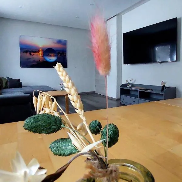 Ferienwohnung Auszeit Osterode、オステローデのホテル