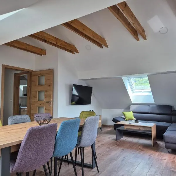 Vila Jelena - modern spacious apartments near Vintgar Gorge & Bled, Hotel in Zgornje Gorje
