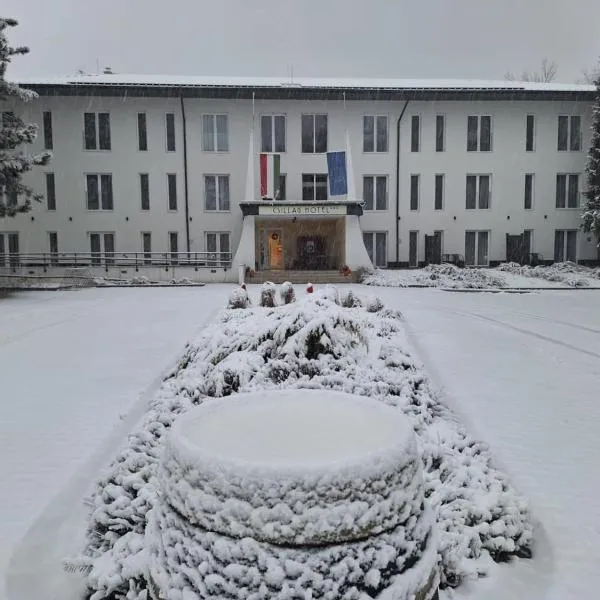 Hotel Csillag Tokaj, hotelli kohteessa Tokaj
