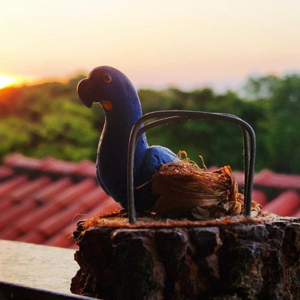 Pousada Dinhá Chica perto de Tiradentes e Bichinho - Foto 4
