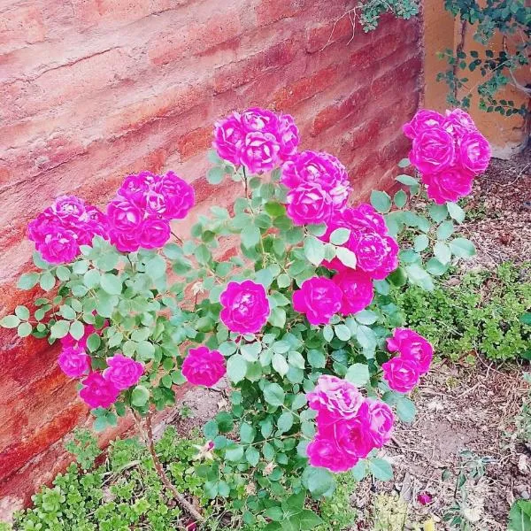 Dpto BBB, hotel em Zapala